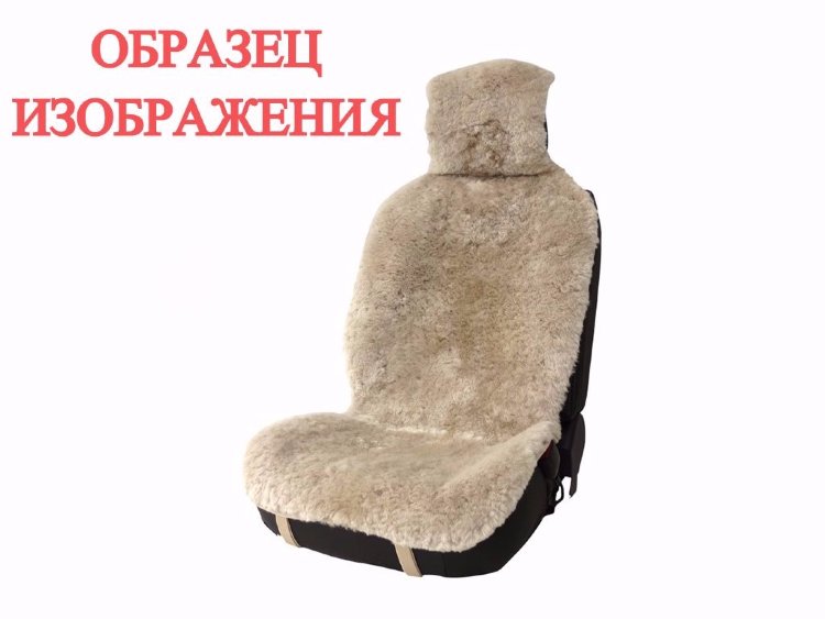 Енот в Красноярске Енот в Красноярске